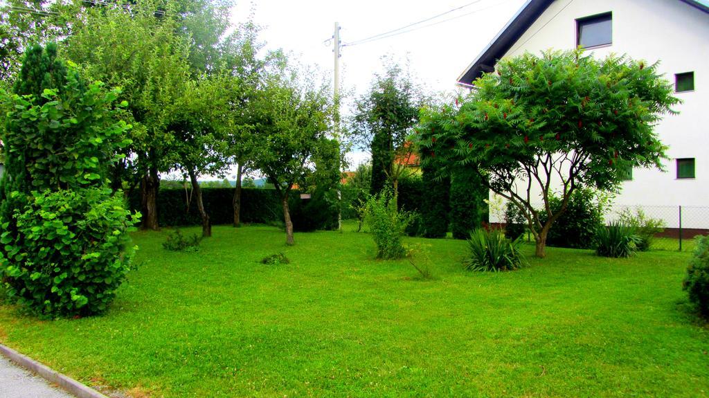 Apartment Marin Ogulin Exterior foto